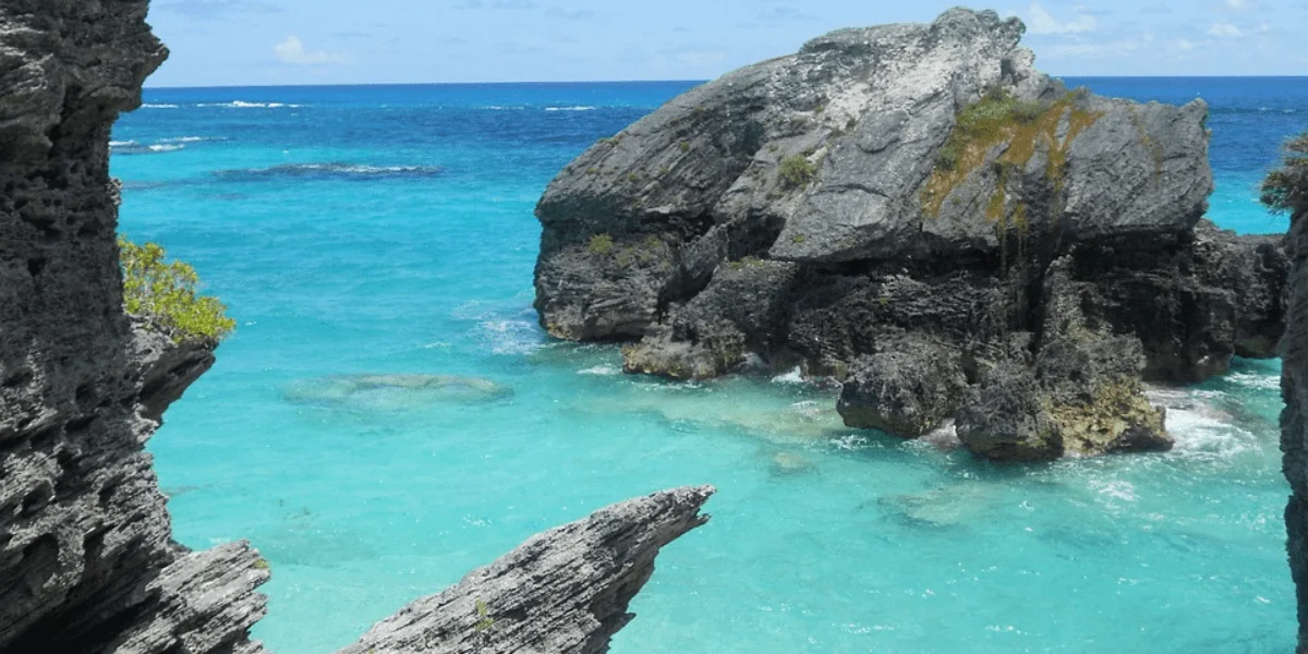 Bermuda 4-min.webp